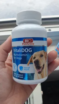 Vitalidog | Мультивитаминная таблетка от 150 Таблетки За кучета 5